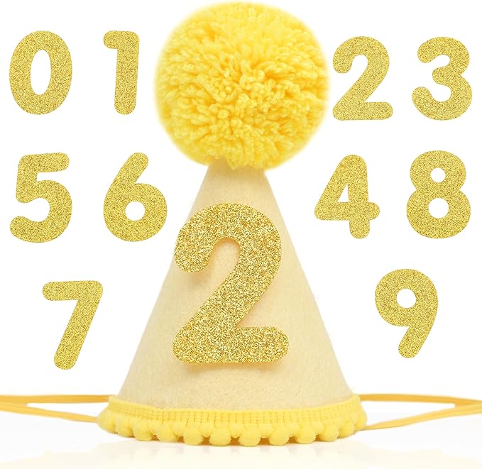 Pet Birthday Hat with Interchangeable Numbers 1-10 | Adjustable Pet Party Cone Hat for Dogs & Cats | Puppy Birthday Photo Props for 1st to 10th Birthday Celebrations (Yellow Birthday Pet Hat)