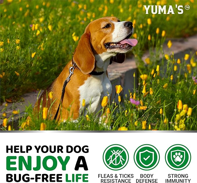 Flea and Tick Prevention for Dogs Chewables - 170 Treats - Natural Dog Flea and Tick Treatment Chewable Supplement - Oral Pills - All Breeds & Ages - Soft Chews - Made in USA - Chicken Flavor