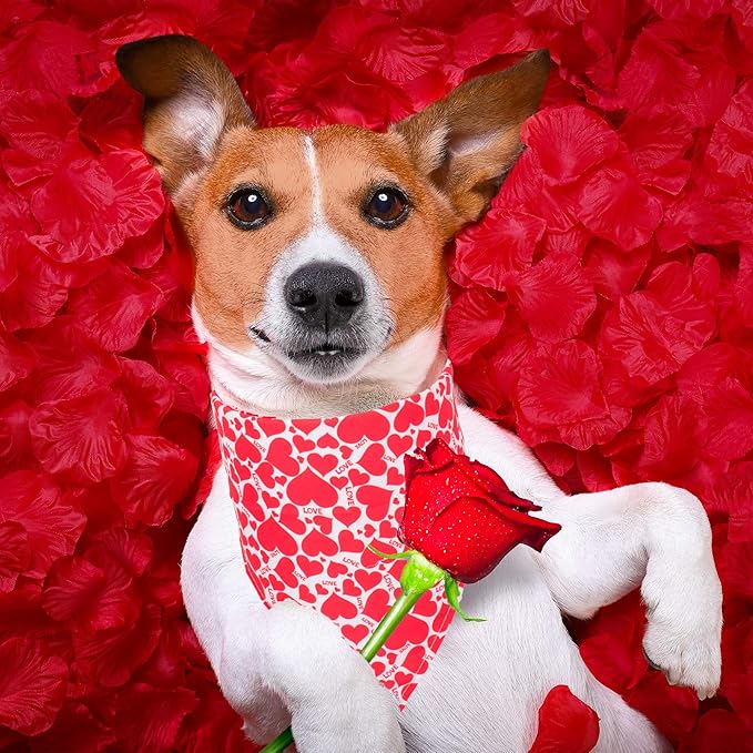 ADOGGYGO 4 Pack Valentine Dog Bandana Triangle Pet Scarf Red Pink Heart Pattern Valentine Bandanas for Medium Large Dogs (Large)