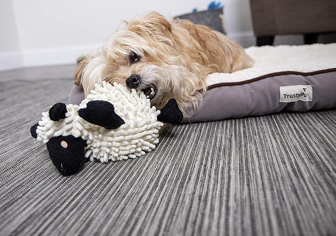 goDog Fuzzy Wuzzy Lamb Squeaky Plush Dog Toy, Chew Guard Technology - Assorted, Small