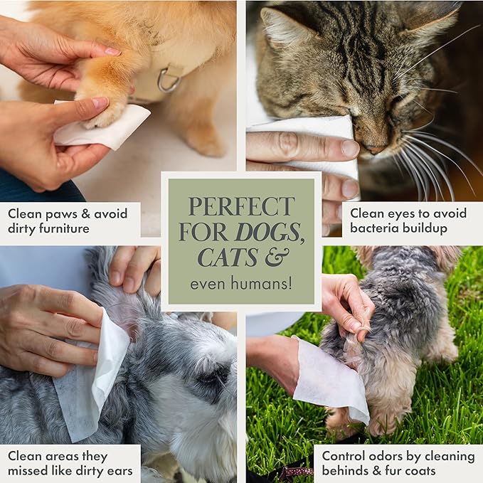 Nina Woof Dog Wipes – Fragrance-Free, Alcohol-Free, Hypoallergenic Pet Grooming Wipes with Aloe Vera, Biodegradable, for Dogs & Cats: Paws, Face, Ears & Butt – (70 Count)