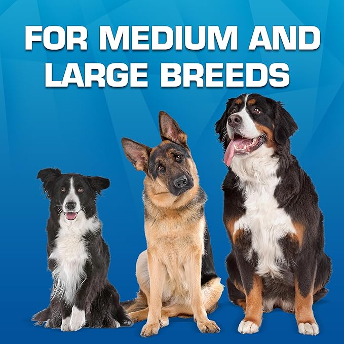 Nerf Dog Toy Gift Set, 3-Piece Set of Outdoor Dog Toys for Tug and Fetch, Includes Classic Squeak Football, 3-Ring Tug and Nitro Blitz Squeak Football