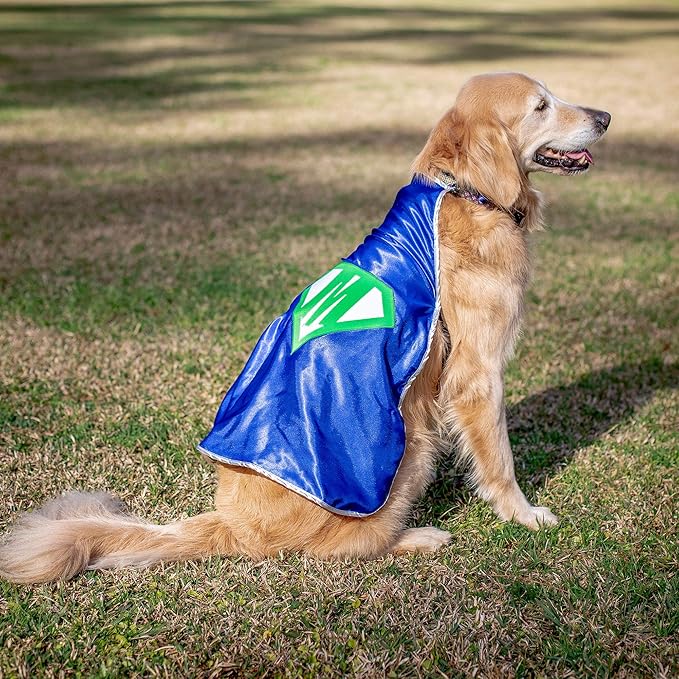 Everfan Personalized Dog Superhero Cape (Large 20" Long (20-55 lbs), Black)