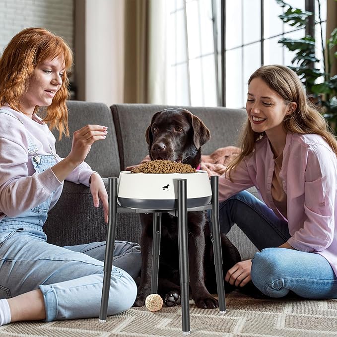 Raised Single Dog Bowl Stand, Adjustable 12-16" Tall, Elevated Dogs Food Bowl Stand for 8-12" Wide Bowls, Dog Bowl Holder for Medium Large - Metal Pets Dish Holder Only - Black