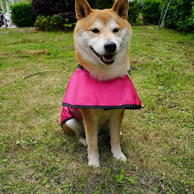 Dog Raincoat Waterproof Reflective Slicker - Lightweight Breathable Hooded Poncho Rain Coat Jacket with Adjustable Belly Strap and Leash Hole for Small Medium Large Dogs (Pink, Medium)