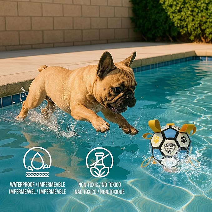 ProBall Pets Interactive Dog Soccer Ball with Grab Tabs - Floats on Water, Fetch & Training Toy for Small Medium Dogs, Herding Breeds - Waterproof Non-Toxic - 6" Blue Yellow