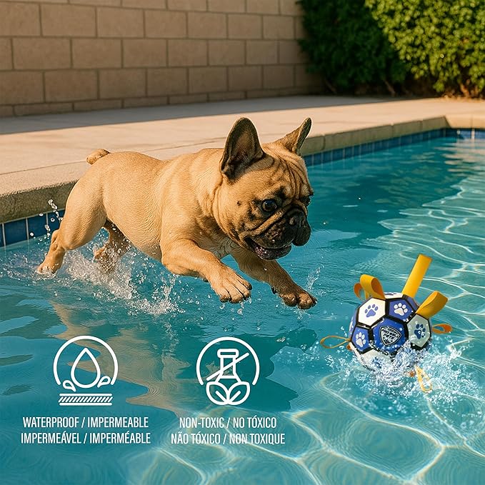 ProBall Pets Interactive Dog Soccer Ball with Grab Tabs - Floats on Water, Fetch & Training Toy for Small Medium Dogs, Herding Breeds - Waterproof Non-Toxic - 6" Blue White