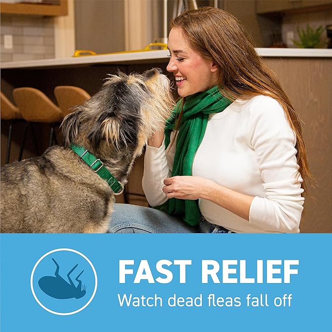 Capstar (Nitenpyram) Fast-Acting Oral Flea Treatment for Dogs 2-25 Lbs, Vet-Recommended Medication Tablets, Flea Tablets for Dogs Start Killing in 30 Minutes, 6 Doses